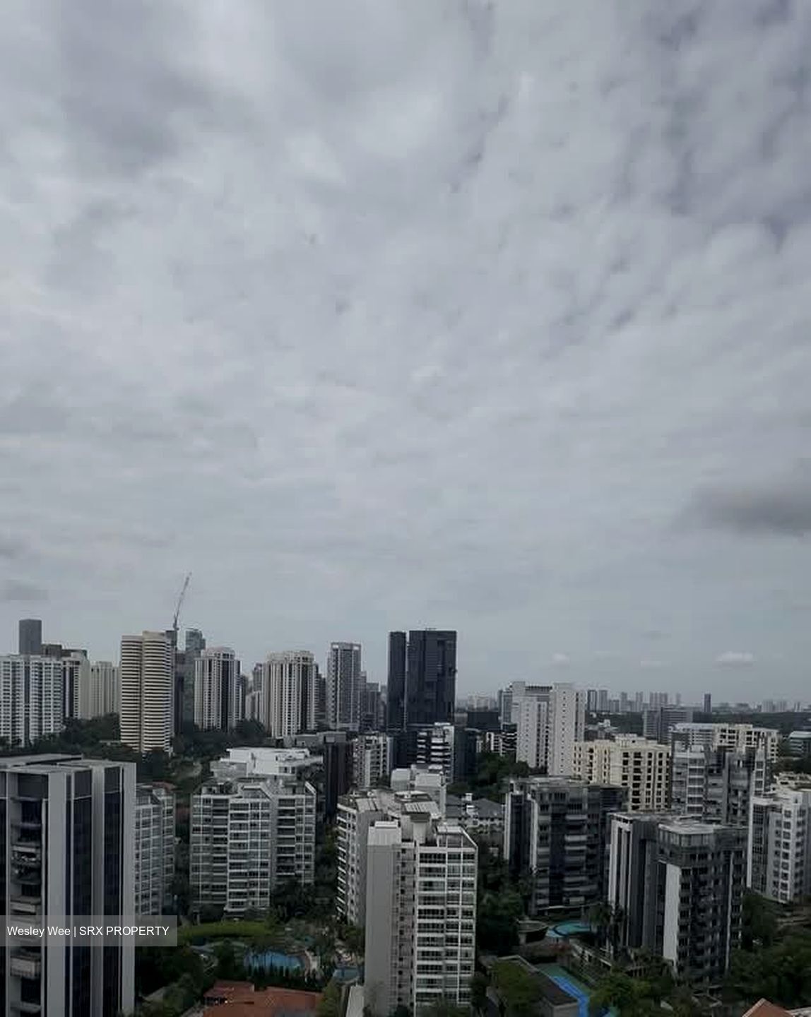 Perfect Ten (D10), Apartment #589271131